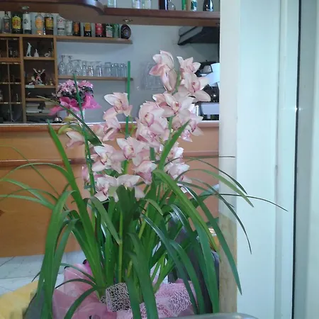 Hotel Sogno
